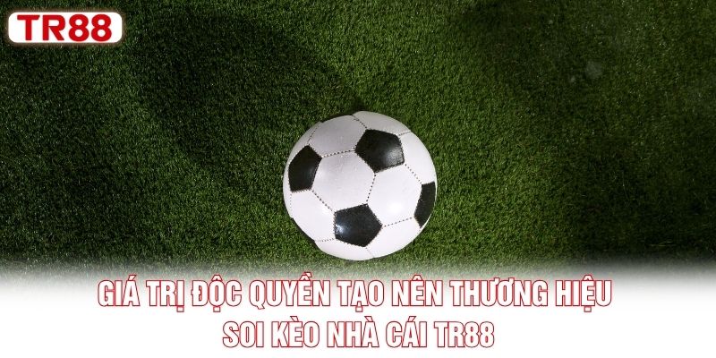 Giá trị độc quyền tạo nên thương hiệu soi kèo nhà cái TR88