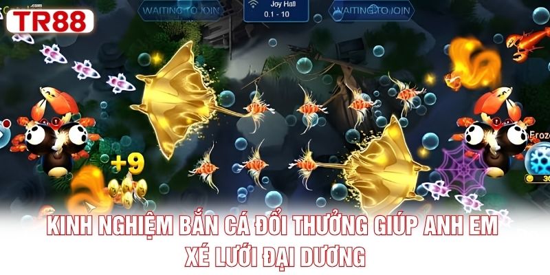 Kinh nghiệm bắn cá đổi thưởng giúp anh em xé lưới đại dương