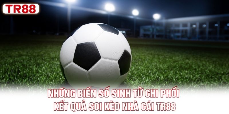 Những biến số sinh tử chi phối kết quả soi kèo nhà cái TR88